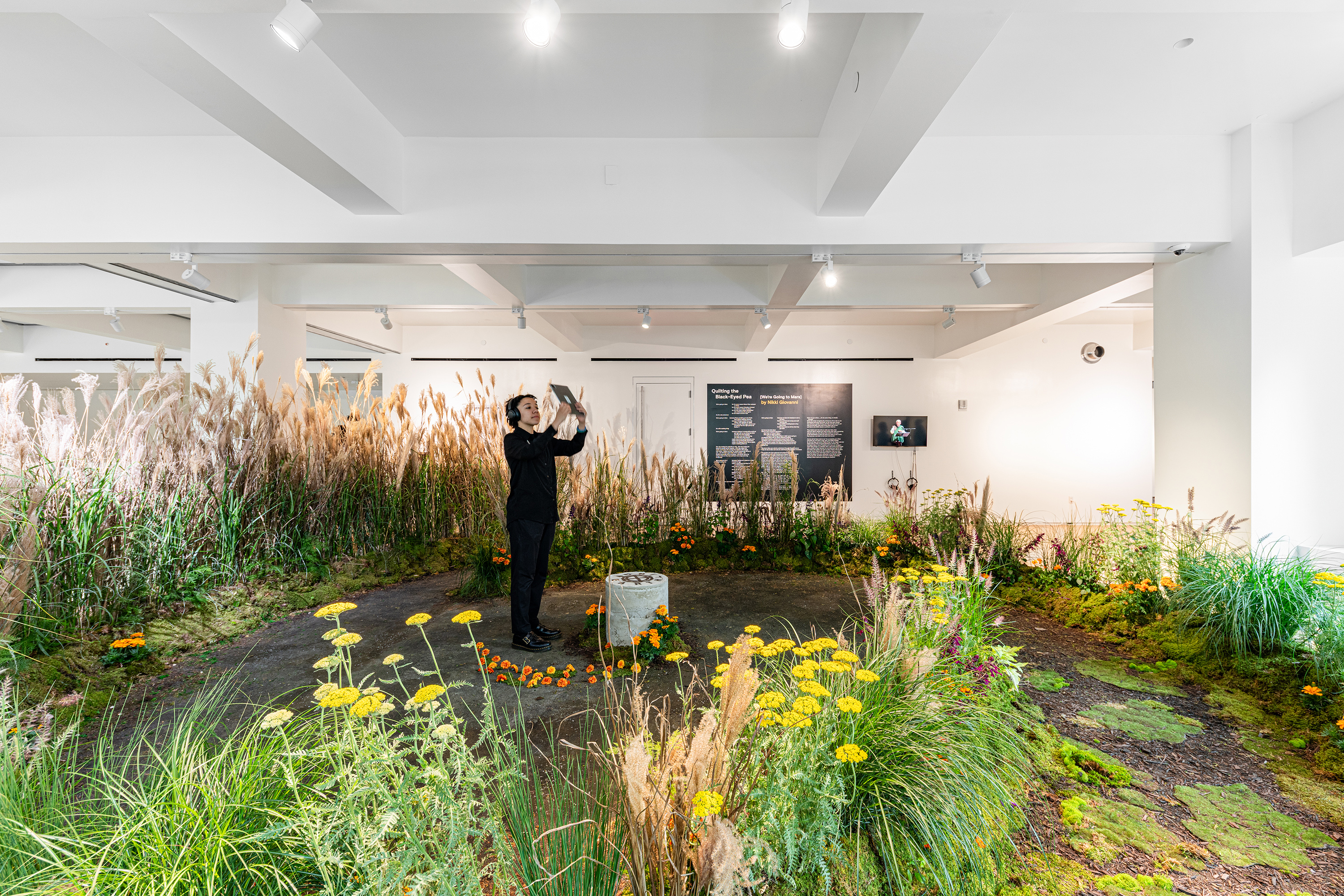 桑山忠明: IN PURSUIT OF LUCIDITY 桑山忠明: IN PURSUIT OF LUCIDITY The Tribeca Festival